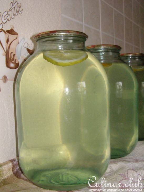 Березовый сок: 8 рецептов приготовления домашней консервации