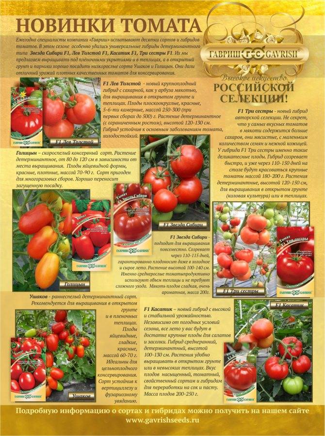 Томат летний сад f1: характеристика и описание гибридного сорта с фото