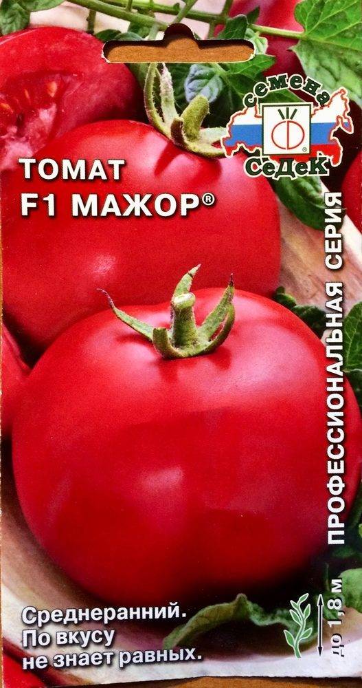 Среднеспелый сорт с плодами, как с картинки — томат «мажор» и инструкция по его выращиванию в открытом и закрытом грунте