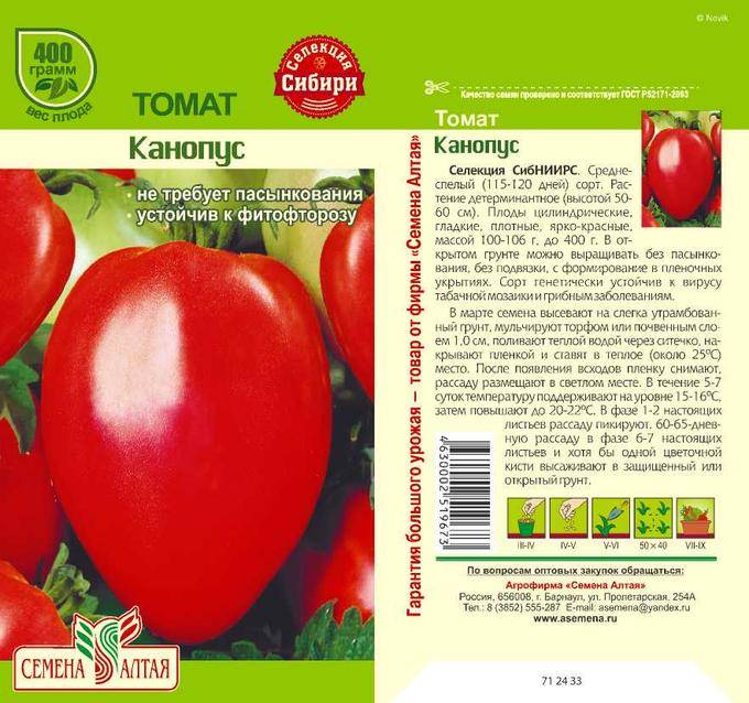 Особенности томата тяжеловес сибири - характеристика и описание сорта, полезные советы, отзывы и правила выращивания
