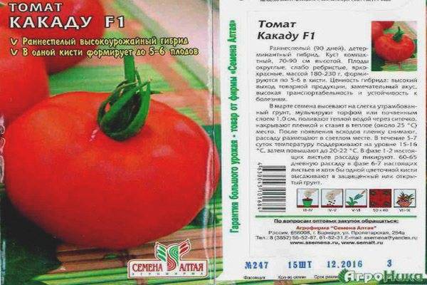 Описание японского томата тмае 683 f1 и выращивание гибрида
