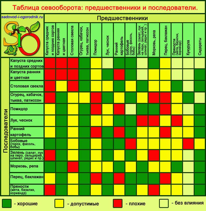 Совместимость растений на огороде: таблица. что с чем сажать