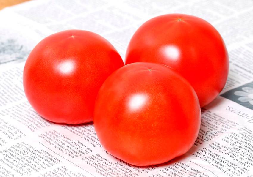 Томат галина f1: характеристика и описание сорта, отзывы об урожайности помидоров, фото куста