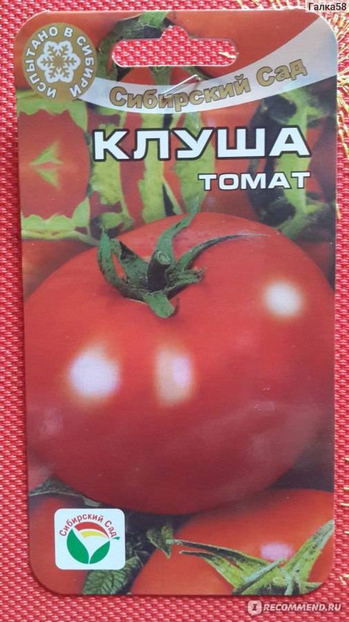 Томат "татьяна": описание и характеристики сорта, рекомендации по выращиванию, фото плодов-помидоров русский фермер