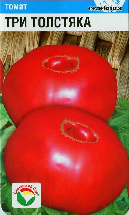 Фото, отзывы, описание, характеристика, урожайность сорта помидора «толстушка».