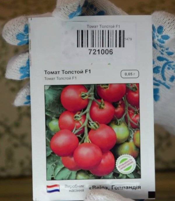 Томат толстушка: характеристика и описание сорта помидоров, фото кустов и полученного урожая, отзывы фермеров