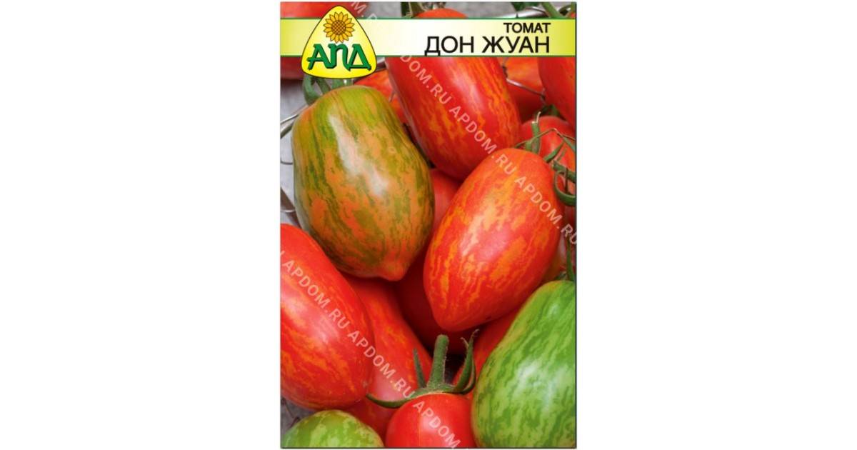 Сорт с экзотической внешностью — томат дон жуан: подробное описание помидоров и характеристики