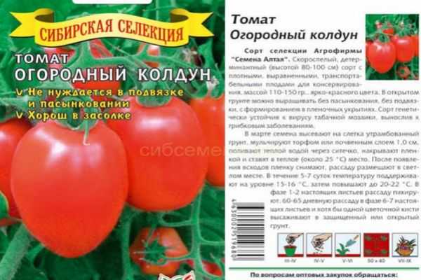 Характеристика и описание сорта томата Тяжеловес Сибири, его урожайность