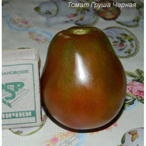 Описание томата необычной формы лампочка и особенности выращивания сорта