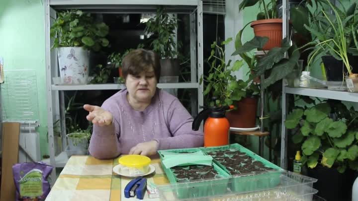 Посадка помидор в улитку юлии миняевой как выращивать видео
