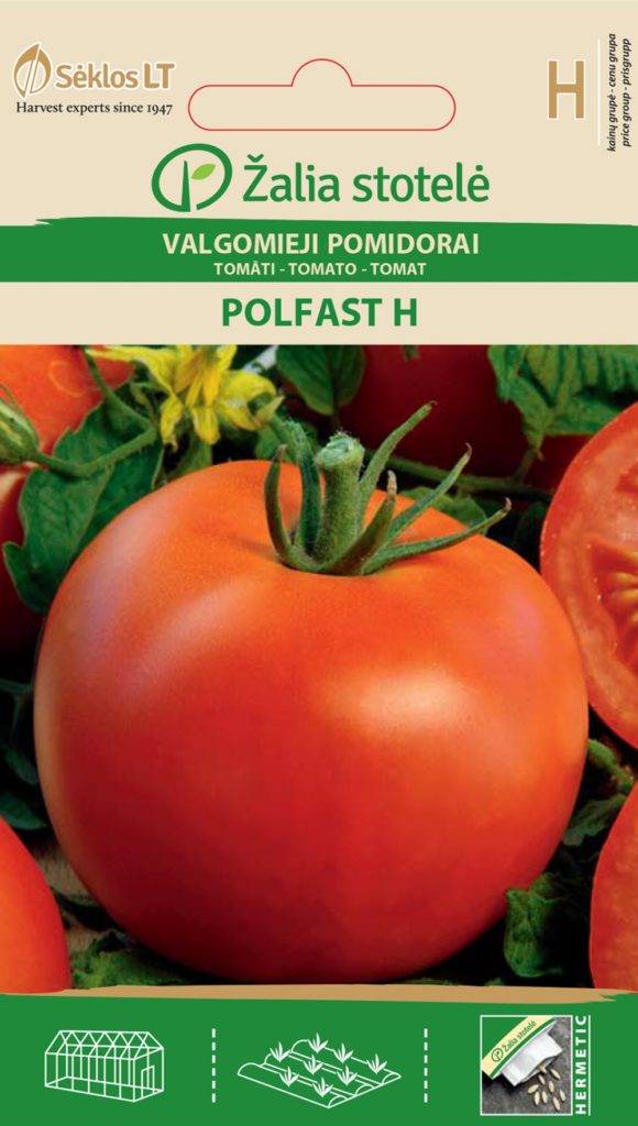 Томат полфаст f1: описание и особенности сорта, выращивание и урожайность, отзывы и фото