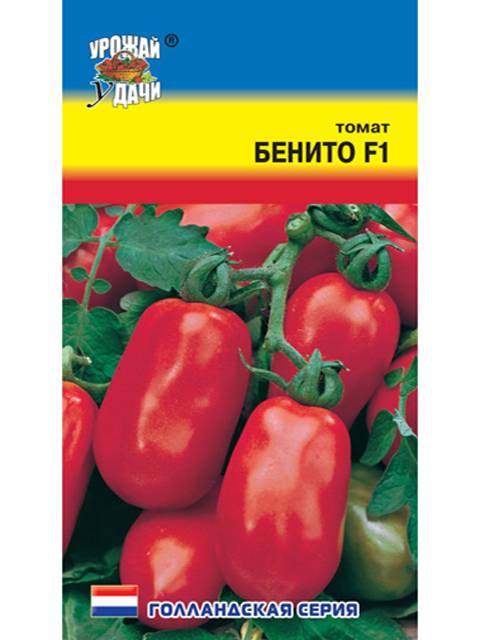 Томат бенито — сорт, набирающий популярность: преимущества и недочеты, выращивание в теплице и открытом грунте