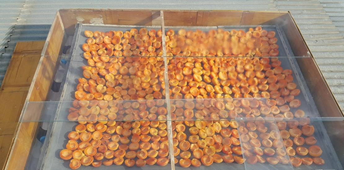 Способы заготовки сушеного абрикоса и как хранить в домашних условиях