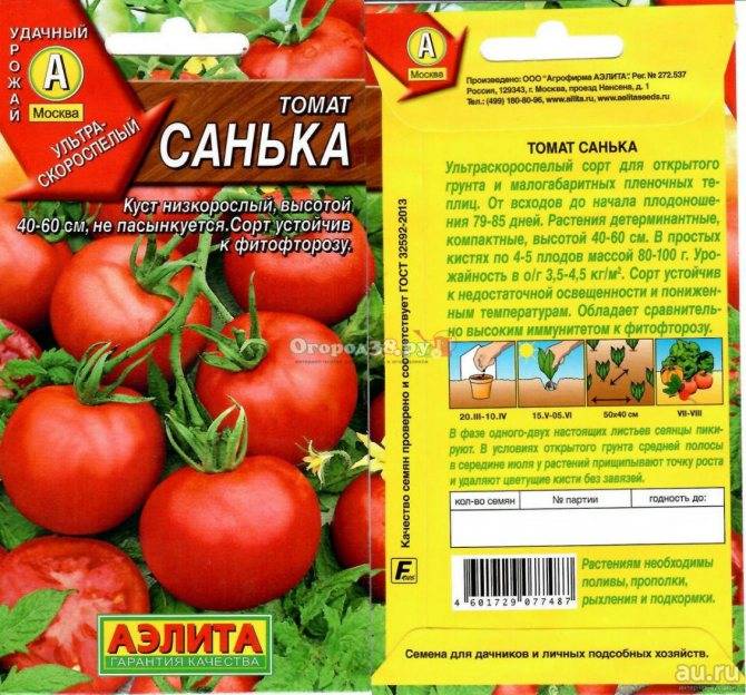 Незаменимый в кулинарных изысках экзотический томат — сашер f1: описание сорта и особенности его выращивания
