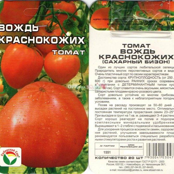 Описание, характеристика и правила выращивания томата иришка f1