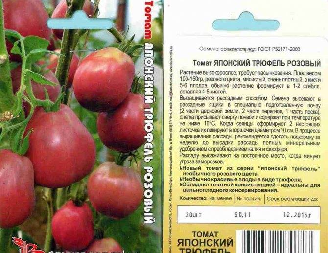 Томат татьяна: описание сорта томата, характеристики помидоров, посев
