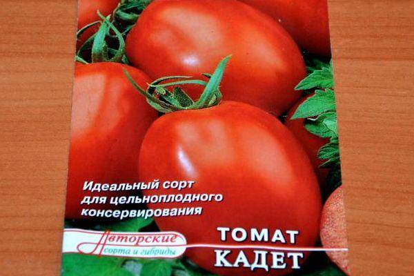 Описание детерминантного сорта томата финиш и особенности выращивания растения