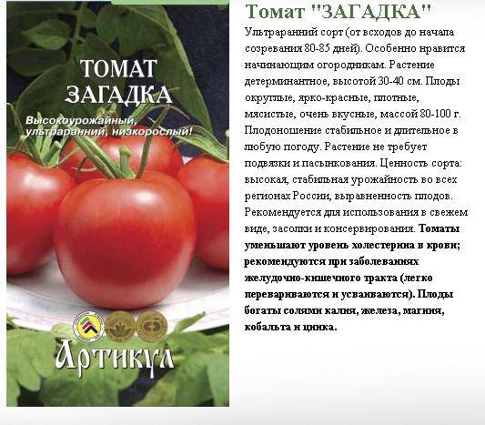 Популярные сорта болгарского перца: колобок, геракл, аристотель f1, аполлон f1, джемини f1, описание, отзывы огородников