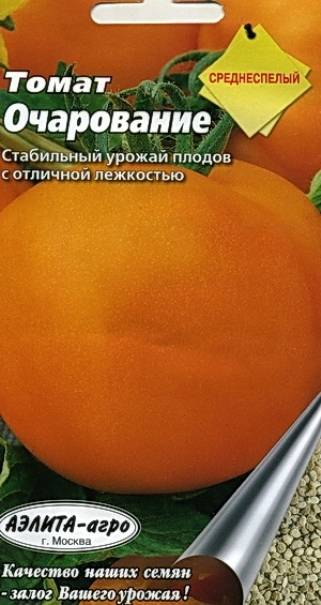 Описание оранжевого томата очарование и общая характеристика растения