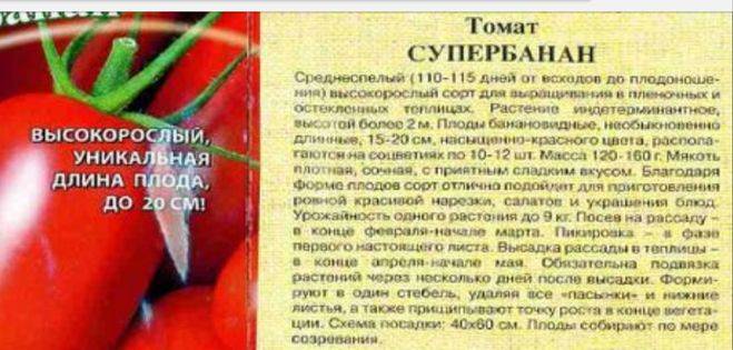 Томат татьяна: характеристика и описание сорта с фото, выращивание семян седек, урожайность, отзывы тех, кто сажал их
