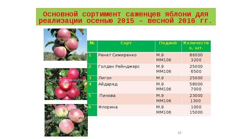 10 самых вкусных сортов яблок на дегустационном марафоне на supersadovnik.ru