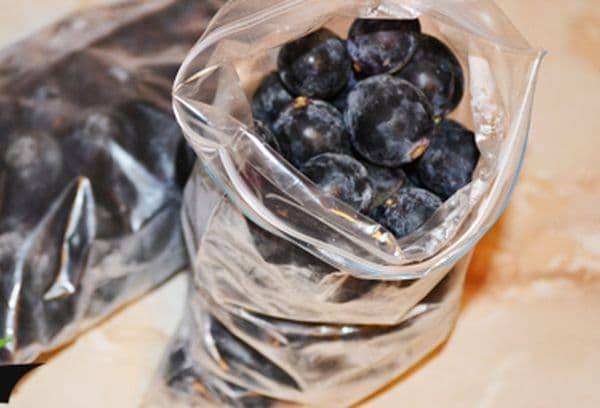 Можно ли заморозить виноград в морозилке на зиму