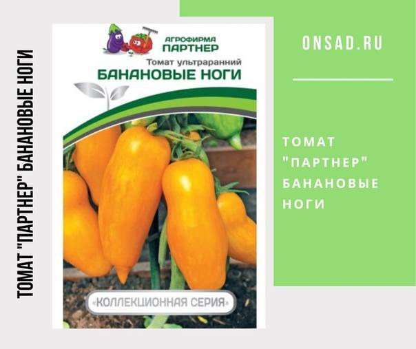 Томат дон жуан: характеристика и описание сорта, отзывы об урожайности помидоров, фото растения