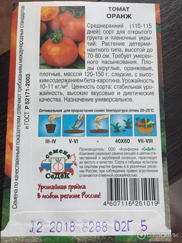 Новинка от московских селекционеров — томат оранж: детальное описание сорта и характеристики