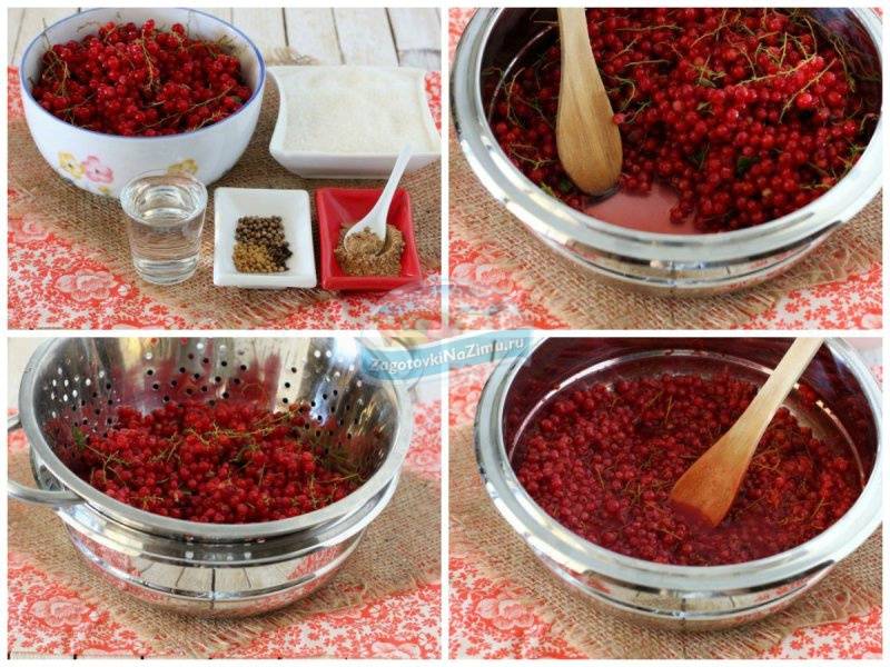 Как приготовить соус из красной смородины на зиму в домашних условиях по пошаговому рецепту с фото