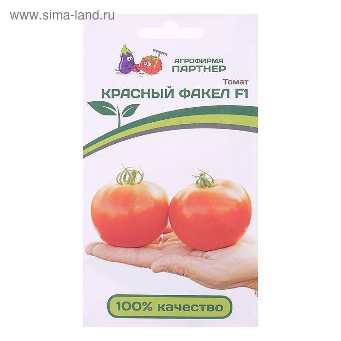 Томат факел: фото кустов и спелых помидоров, отзывы о нюансах их выращивания и полученном урожае