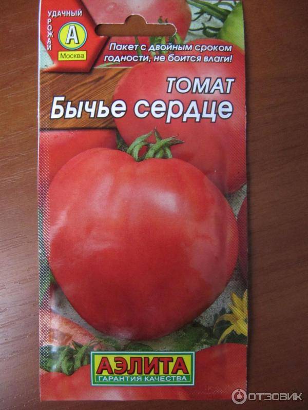 Бычье сердце томат компакт отзывы фото урожайность. Сорт помидор Бычье сердце. Томат гибрид Бычье сердце. Сорт томатов Бычье сердце.