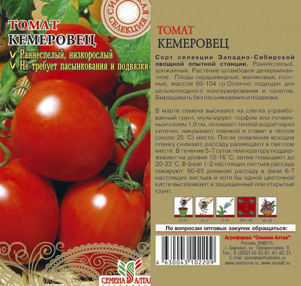 Томат султан: характеристика помидоров, отзывы и урожайность с фото