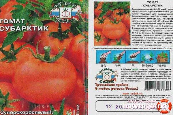 Описание сорта томата Субарктик, его характеристика и выращивание