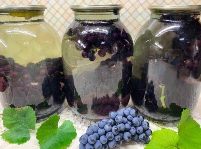 Что можно сделать из винограда на зиму: вкусные рецепты
