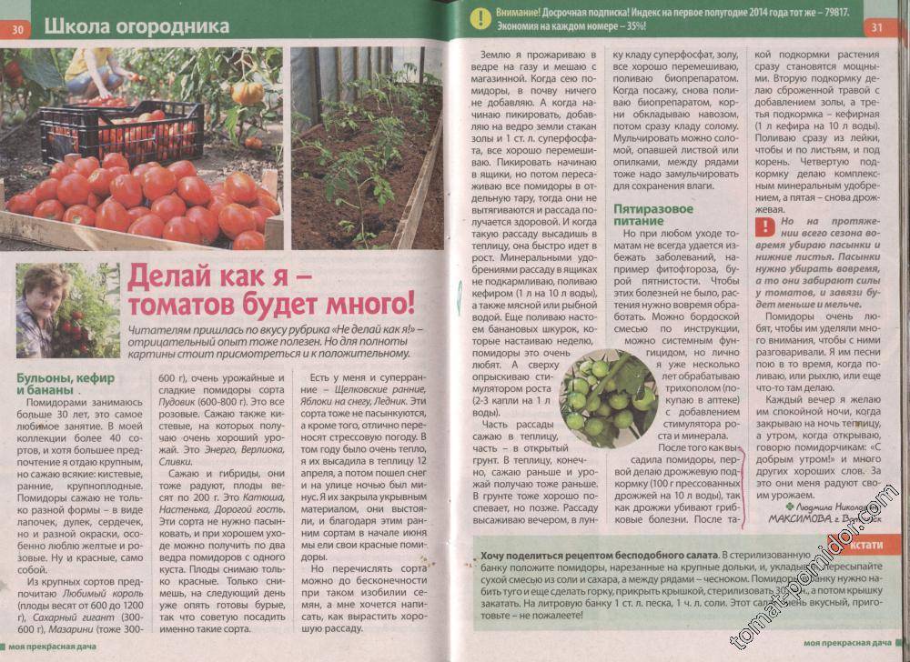 Когда сажать томаты на рассаду в феврале, марте 2022 года: лунный календарь посева томатов