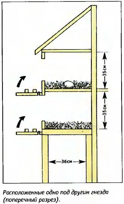 Постройка курятника для бройлеров на 10, 20 и 50 голов: размеры и чертежи клеток