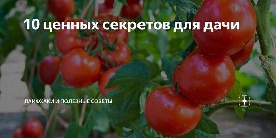 Борная кислота для завязи помидоров в теплице и открытом грунте: в каких пропорциях разводить, как опрыскивать и поливать