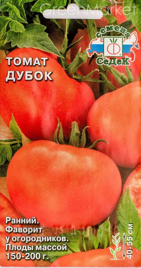 Характеристика и описание сорта томата Дубрава, его урожайность
