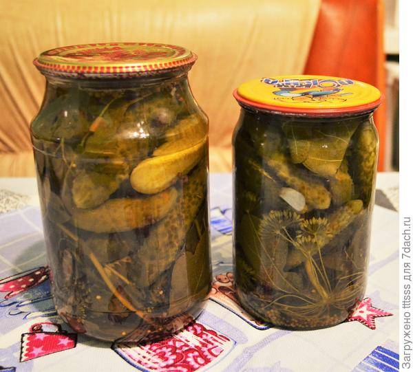 Маринованные корнишоны: рецепт на зиму, хрустящие на 1 литр ингредиенты, огурцы как в магазине с острым перцем в литровой банке