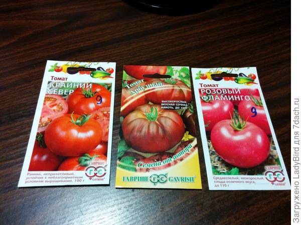 Выращиваем необычный томат арбузный