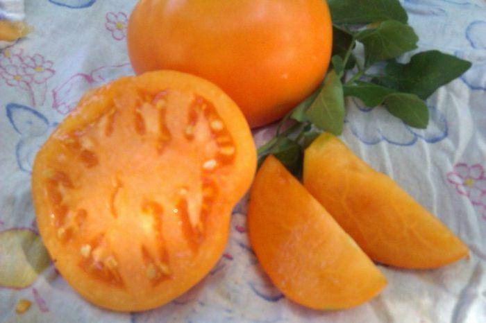 Описание и особенности выращивания томата янтарный кубок , отзывы