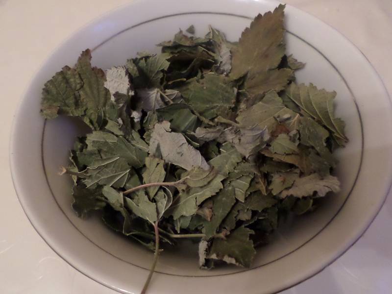 Когда собирать и как сушить листья смородины на зиму для чая