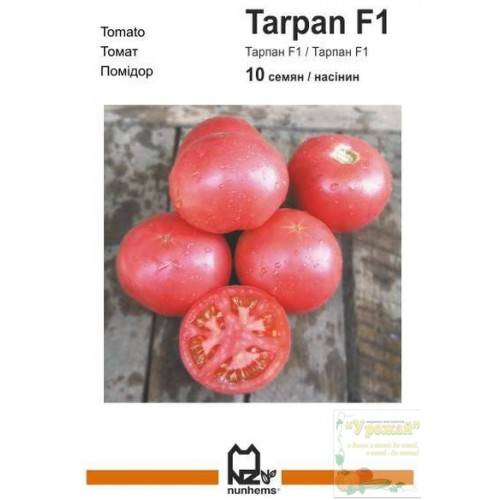 Томат тарпан: описание и характеристика сорта, особенности выращивания, отзывы, фото