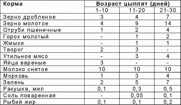 Рацион и норма кормления кур несушек в сутки