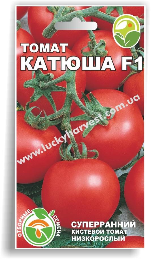 Сорт помидор «катюша»: описание, характеристики, фото-материалы, рекомендации по уходу и выращиванию