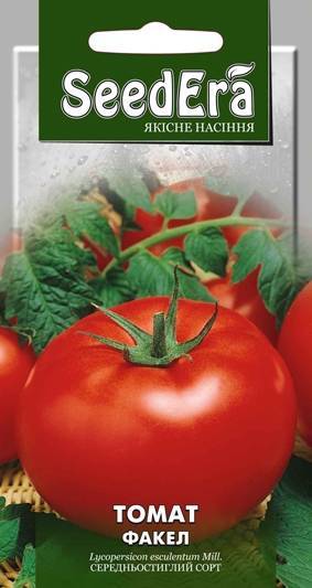 Идеальные плоды для теплиц и открытого грунта — томат факел: полное описание сорта