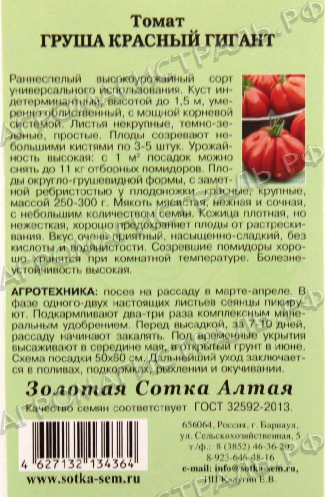 Описание сорта томата важная персона и его характеристики