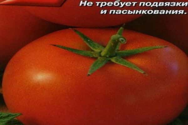 Томат сибирский сюрприз: фото и описание сорта, урожайность, выращивание