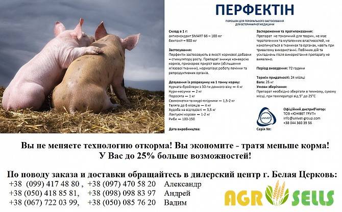 Преимущества использования витаминов для свиней и поросят, список эффективных препаратов