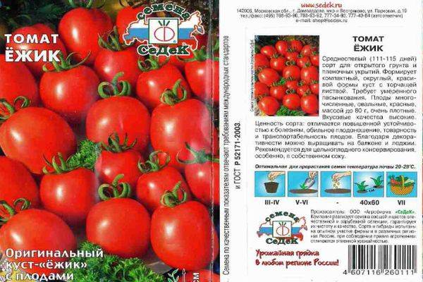 Описание сорта томата Ежик, его урожайность и выращивание